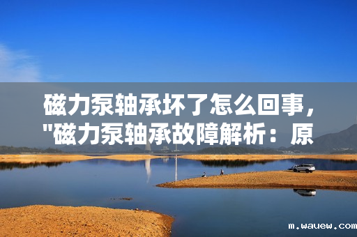 磁力泵轴承坏了怎么回事, 磁力泵轴承坏了怎么回事,