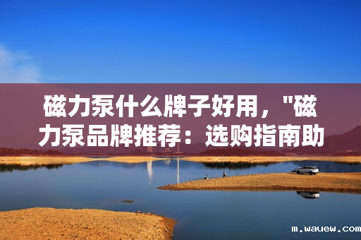 磁力泵什么牌子好用, 磁力泵什么牌子好用,