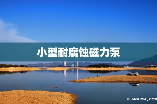 小型耐腐蚀磁力泵 小型耐腐蚀磁力泵