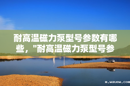 耐高温磁力泵型号参数有哪些, 耐高温磁力泵型号参数有哪些,