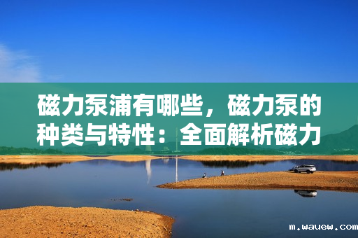 磁力泵浦有哪些,磁力泵的种类与特性:全面解析磁力驱动泵浦技术 磁力泵浦有哪些,磁力泵的种类与特性:全面解析磁力驱动泵浦技术