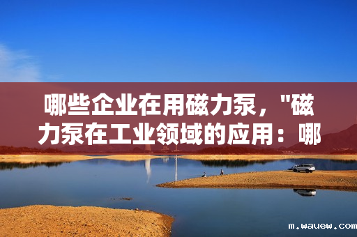 哪些企业在用磁力泵, 哪些企业在用磁力泵,