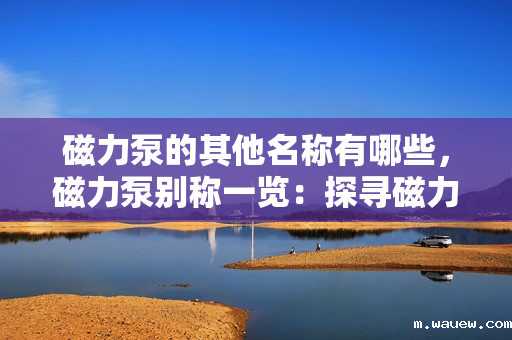 磁力泵的其他名称有哪些,磁力泵别称一览:探寻磁力泵的其他命名方式 磁力泵的其他名称有哪些,磁力泵别称一览:探寻磁力泵的其他命名方式