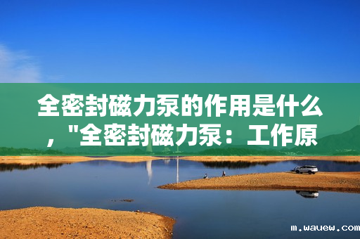 全密封磁力泵的作用是什么, 全密封磁力泵的作用是什么,