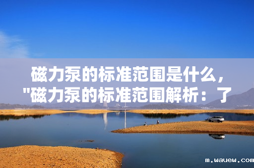 磁力泵的标准范围是什么, 磁力泵的标准范围是什么,