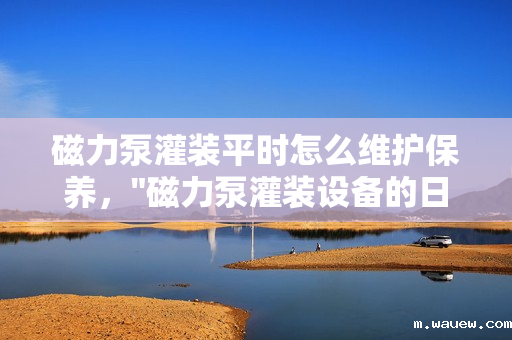 磁力泵灌装平时怎么维护保养, 磁力泵灌装平时怎么维护保养,