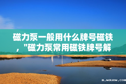 磁力泵一般用什么牌号磁铁, 磁力泵一般用什么牌号磁铁,