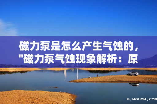 磁力泵是怎么产生气蚀的, 磁力泵是怎么产生气蚀的,