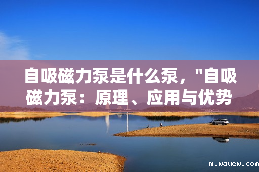 自吸磁力泵是什么泵, 自吸磁力泵是什么泵,