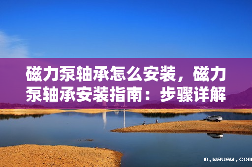 磁力泵轴承怎么安装,磁力泵轴承安装指南:步骤详解与注意事项 磁力泵轴承怎么安装,磁力泵轴承安装指南:步骤详解与注意事项