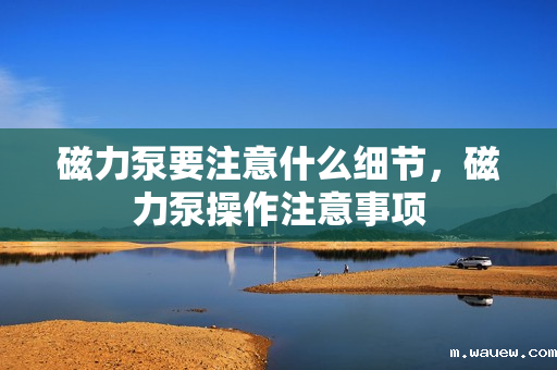 磁力泵要注意什么细节,磁力泵操作注意事项 磁力泵要注意什么细节,磁力泵操作注意事项