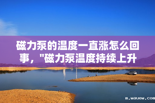 磁力泵的温度一直涨怎么回事, 磁力泵的温度一直涨怎么回事,