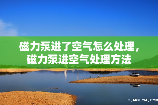 磁力泵进了空气怎么处理,磁力泵进空气处理方法 磁力泵进了空气怎么处理,磁力泵进空气处理方法