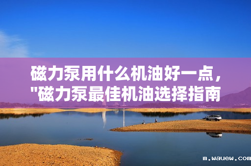 磁力泵用什么机油好一点, 磁力泵用什么机油好一点,