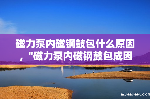 磁力泵内磁钢鼓包什么原因, 磁力泵内磁钢鼓包什么原因,