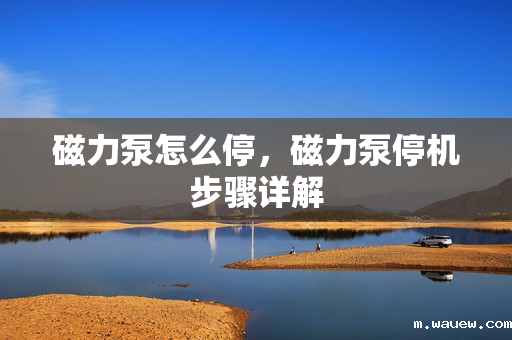 磁力泵怎么停,磁力泵停机步骤详解 磁力泵怎么停,磁力泵停机步骤详解