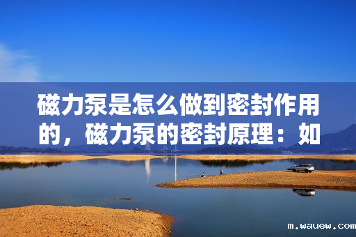 磁力泵是怎么做到密封作用的,磁力泵的密封原理:如何实现无泄漏密封 磁力泵是怎么做到密封作用的,磁力泵的密封原理:如何实现无泄漏密封