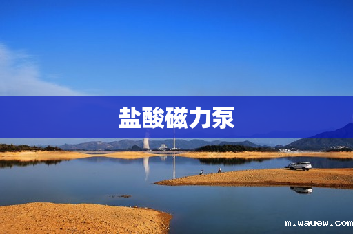 盐酸磁力泵 盐酸磁力泵