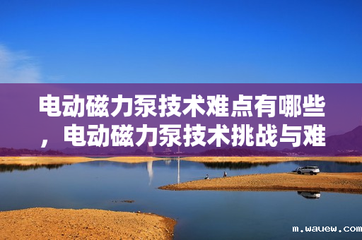 电动磁力泵技术难点有哪些,电动磁力泵技术挑战与难点解析 电动磁力泵技术难点有哪些,电动磁力泵技术挑战与难点解析