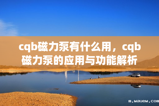 cqb磁力泵有什么用,cqb磁力泵的应用与功能解析 cqb磁力泵有什么用,cqb磁力泵的应用与功能解析