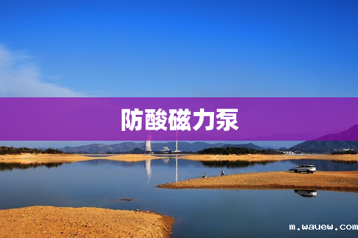 防酸磁力泵 防酸磁力泵