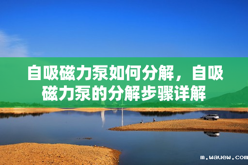 自吸磁力泵如何分解,自吸磁力泵的分解步骤详解 自吸磁力泵如何分解,自吸磁力泵的分解步骤详解