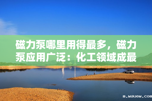 磁力泵哪里用得最多,磁力泵应用广泛:化工领域成最大用户 磁力泵哪里用得最多,磁力泵应用广泛:化工领域成最大用户