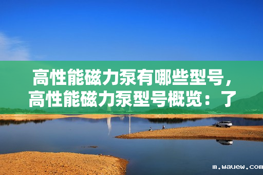 高性能磁力泵有哪些型号,高性能磁力泵型号概览:了解不同型号的特点与应用 高性能磁力泵有哪些型号,高性能磁力泵型号概览:了解不同型号的特点与应用