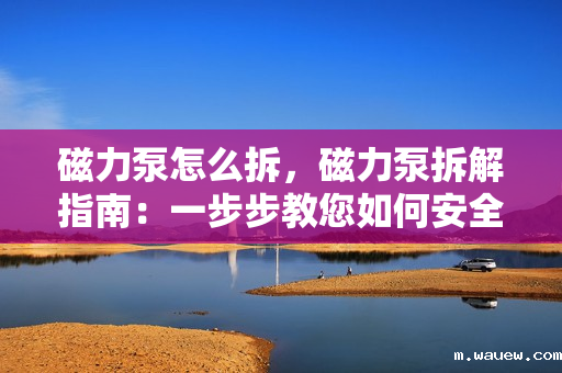 磁力泵怎么拆,磁力泵拆解指南:一步步教您如何安全有效地拆卸磁力泵 磁力泵怎么拆,磁力泵拆解指南:一步步教您如何安全有效地拆卸磁力泵