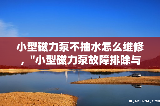 小型磁力泵不抽水怎么维修, 小型磁力泵不抽水怎么维修,