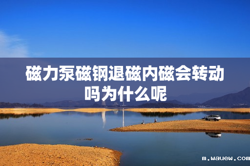 磁力泵磁钢退磁内磁会转动吗为什么呢 磁力泵磁钢退磁内磁会转动吗为什么呢