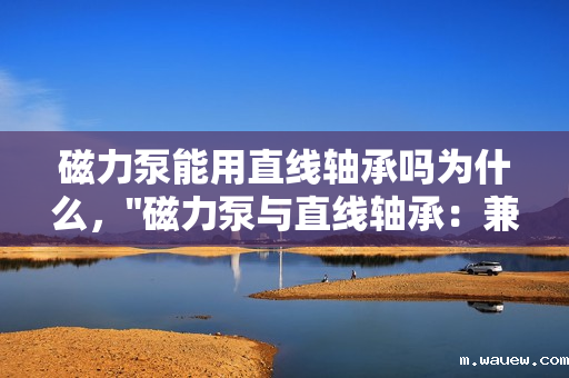 磁力泵能用直线轴承吗为什么, 磁力泵能用直线轴承吗为什么,