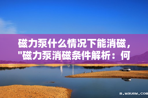 磁力泵什么情况下能消磁, 磁力泵什么情况下能消磁,