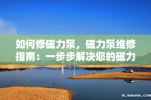 如何修磁力泵,磁力泵维修指南:一步步解决您的磁力泵问题 如何修磁力泵,磁力泵维修指南:一步步解决您的磁力泵问题