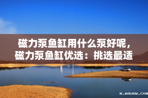 磁力泵鱼缸用什么泵好呢,磁力泵鱼缸优选:挑选最适合的泵让你的鱼儿更舒适 磁力泵鱼缸用什么泵好呢,磁力泵鱼缸优选:挑选最适合的泵让你的鱼儿更舒适