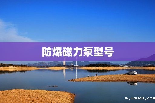 防爆磁力泵型号 防爆磁力泵型号