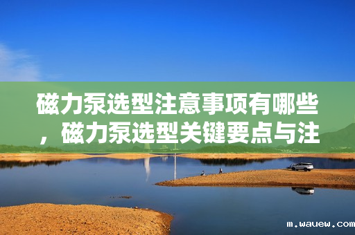 磁力泵选型注意事项有哪些,磁力泵选型关键要点与注意事项 磁力泵选型注意事项有哪些,磁力泵选型关键要点与注意事项