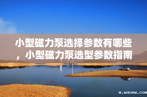 小型磁力泵选择参数有哪些,小型磁力泵选型参数指南:全面了解关键参数,助力精准选择 小型磁力泵选择参数有哪些,小型磁力泵选型参数指南:全面了解关键参数,助力精准选择