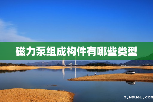 磁力泵组成构件有哪些类型 磁力泵组成构件有哪些类型