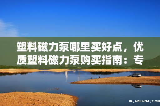 塑料磁力泵哪里买好点,优质塑料磁力泵购买指南:专业渠道推荐与选购建议 塑料磁力泵哪里买好点,优质塑料磁力泵购买指南:专业渠道推荐与选购建议