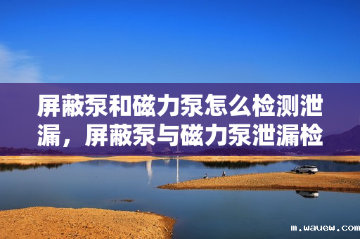屏蔽泵和磁力泵怎么检测泄漏,屏蔽泵与磁力泵泄漏检测方法详解 屏蔽泵和磁力泵怎么检测泄漏,屏蔽泵与磁力泵泄漏检测方法详解