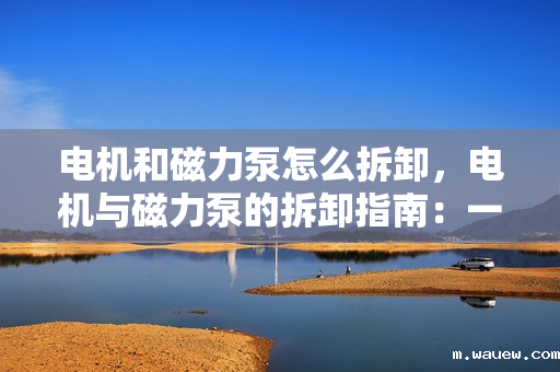 电机和磁力泵怎么拆卸,电机与磁力泵的拆卸指南:一步步教你如何安全有效地进行操作 电机和磁力泵怎么拆卸,电机与磁力泵的拆卸指南:一步步教你如何安全有效地进行操作