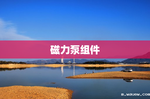 磁力泵组件 磁力泵组件