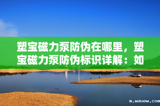 塑宝磁力泵防伪在哪里,塑宝磁力泵防伪标识详解:如何确保购买正品 塑宝磁力泵防伪在哪里,塑宝磁力泵防伪标识详解:如何确保购买正品