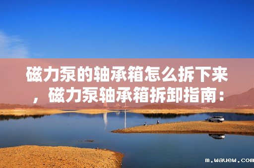 磁力泵的轴承箱怎么拆下来,磁力泵轴承箱拆卸指南:简易步骤与操作要点 磁力泵的轴承箱怎么拆下来,磁力泵轴承箱拆卸指南:简易步骤与操作要点