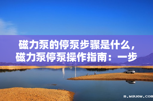 磁力泵的停泵步骤是什么,磁力泵停泵操作指南:一步步带您正确停机 磁力泵的停泵步骤是什么,磁力泵停泵操作指南:一步步带您正确停机