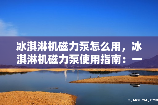 冰淇淋机磁力泵怎么用,冰淇淋机磁力泵使用指南:一步步教您如何操作 冰淇淋机磁力泵怎么用,冰淇淋机磁力泵使用指南:一步步教您如何操作