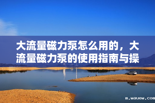 大流量磁力泵怎么用的,大流量磁力泵的使用指南与操作技巧 大流量磁力泵怎么用的,大流量磁力泵的使用指南与操作技巧