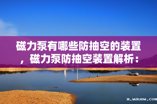 磁力泵有哪些防抽空的装置,磁力泵防抽空装置解析:保障稳定运行的关键技术 磁力泵有哪些防抽空的装置,磁力泵防抽空装置解析:保障稳定运行的关键技术