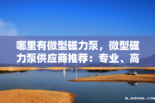 哪里有微型磁力泵,微型磁力泵供应商推荐:专业、高效、可靠的微型磁力泵解决方案 哪里有微型磁力泵,微型磁力泵供应商推荐:专业、高效、可靠的微型磁力泵解决方案